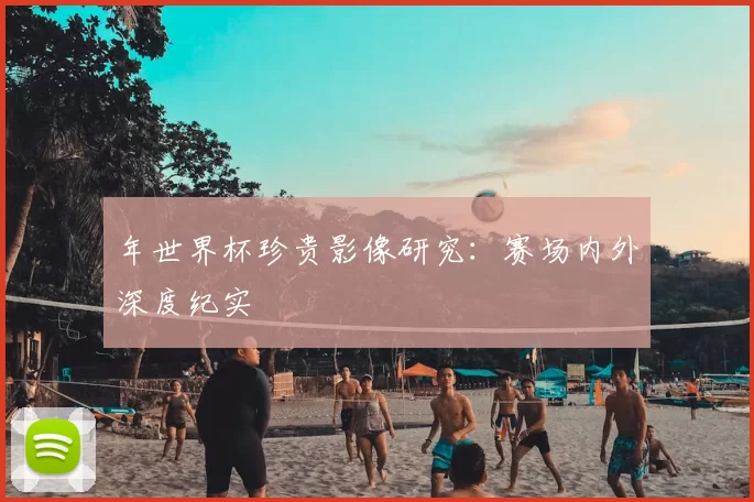 年世界杯珍贵影像研究:赛场内外深度纪实