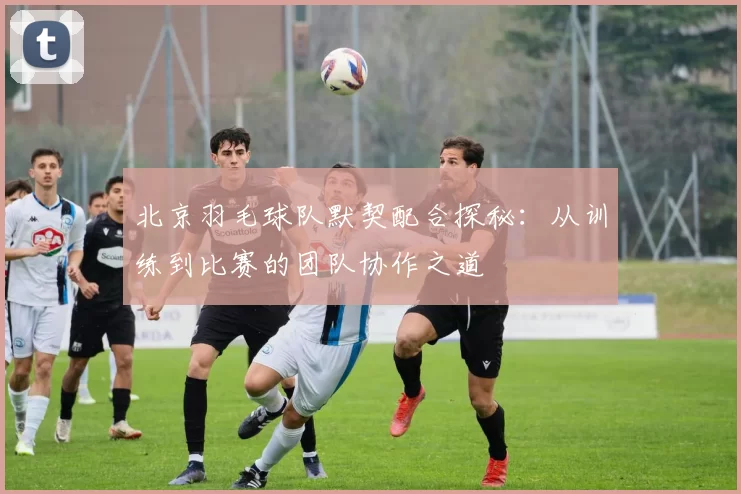 北京羽毛球队默契配合探秘：从训练到比赛的团队协作之道