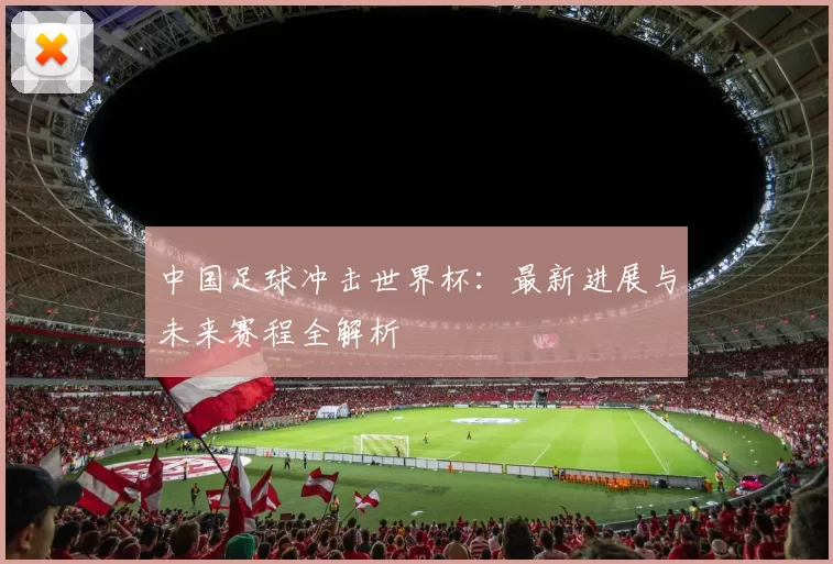 中国足球冲击世界杯:最新进展与未来赛程全解析