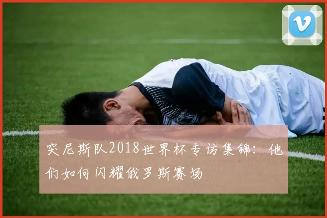 突尼斯队2018世界杯专访集锦：他们如何闪耀俄罗斯赛场