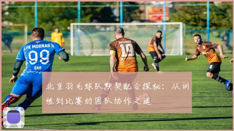 北京羽毛球队默契配合探秘：从训练到比赛的团队协作之道
